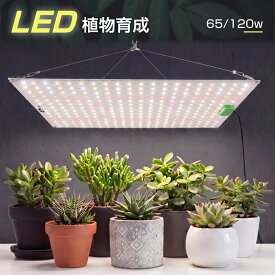 植物育成ライト LED植物ライト パネルライト 65W 120W 植物ライト フルスペクトル Samsung 調光 日照不足対策 広い照射範囲 植物成長 光合成 水耕栽培 育苗 室内栽培 観葉植物 多肉植物 発芽 開花