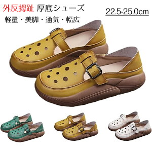 yP2{I3480~3410~ 11/11܂ŁzJWAV[YAOd lԍHw 2way JWA V[Y fB[X 5cm yʐ݌v ~ r ʋCK L JWAV[