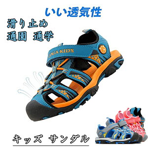 yX߁zLbY T_ j̎q ܐی X|[cT_ q AEghA T_ LbY  T_ j̎q ̎q tďH ~ C ʉ ʊw ~ K q