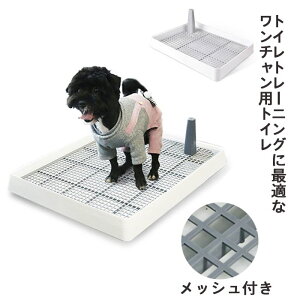 yP2{I3680~3606~ 11/27 01:59܂ŁzybggC  ^gC gC Ch pgC }[LO|[tgC g[ gCg[ t`t g[jO  