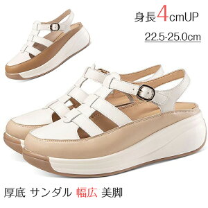 yP5{I3880~3686~ 11/15 23:59܂ŁzT_  fB[X g4cmUP fB[XT_ OfBG[^[T_ 3E L r fB[X }WbNe[v oCJ[ ܐ