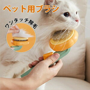 yX߁zybgpuV L  uV ыʎ  ^b` lR suV LuV ֗ y  L  uV ю ybgp ybgpuV ybg uV 