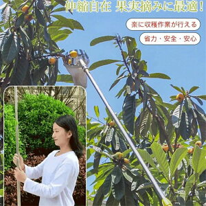 _Ԍ聚50%OFFP10{1,831~I 8/24^t[csbJ[ ʕ }؂΂ Lk sbLOc[ ʕLb`[ y x[sbJ[ |p K[fjOc[ K[