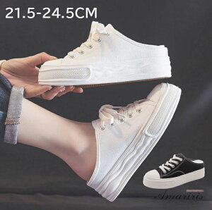 yX߁zXj[J[ Xj[J[ T_ q[6cm Cq[ LoX Xj[J[ [XAbv V[Y fB[X ؍ C ҂ݏグɂȂtbgV[Y ؂