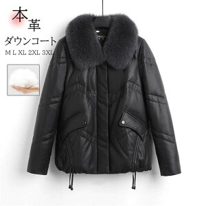 yX߁z_ER[g _EWPbg fB[X {v U[_EWPbg vW H~  ubN 傫TCY rWlX ~R[g tHbNXt@[ Vbg h