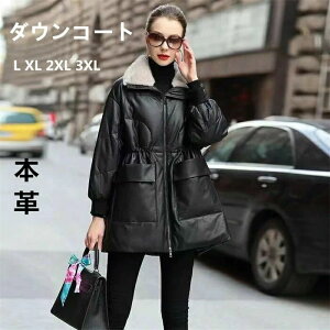 yX߁z_ER[g _EWPbg fB[X {v U[_EWPbg vW H~  ubN 傫TCY rWlX ~R[g Vbg h _EWP