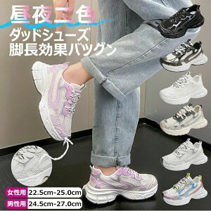 yP2{I3401~3333~ 11/11܂ŁzXj[J[ Xj[J[ ϐF fB[X Y  킢 gAbv r C 5cm ʊw jp yAV[Y ₷ Ȃ