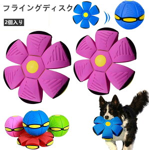 yX߁ztCOfBXN {[ ߋ 2 ό`{[ tXr[ VR ybgߋ{[ ϋv v e͐ m\P ^s ϊݐ ^ ^ ^