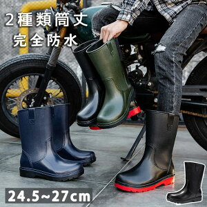 yX߁zCV[Y Y C 2ޓ Cu[c Sh JC |  ~J΍ 䕗 ʋ ʊw rWlX bh ubN lCr[ O[ 24.5~27cm hV[Y 