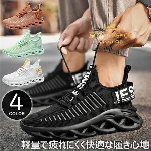 yP10{I2850~2565~ 11/19 23:59܂ŁzXj[J[ Y  NbV fB[X EH[LOV[Y ^C t@bV X|[cV[Y g[jOV[Y y j