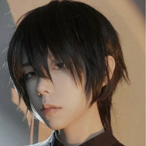 ウィッグ メンズ かつら ショート フルウィッグ 男装 男性用 自然 小顔 耐熱 ウィッグ ファッション イメチェン 男女兼用 短髪 ネット 黒 男性 原宿 イケメン ハンサム