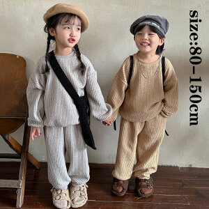 yz!X[p[SALEzƂ ZbgAbv ㉺Zbg  H~ TVc Y{ {gX  ̎q j̎q xr[ LbY X|[c q ʊw WjA w w 2F 80cm