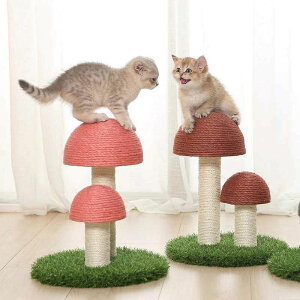 L ܂Ƃ |[ ܌ Lp  L߂Ƃ ybgp  CeA ܖ ܂݂   lC a30cm 36cm ܂Ƃ|[ Lbg^[ Lpi