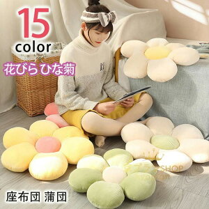 yz!X[p[SALEz60CM Ԃт Ђȋe _ zc c  }bg ~` I[V[Y ֎q `FApbg ی` ֎qpNbV `FApbh `FA[pbh |  zcJo[ 