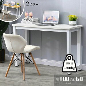 yX߁zPCfXN fXN  PCfXN RpNg X [100cm s60cm 73cm] rO l炵 wK wK PCbN PCbN e[u