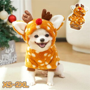 yX߁znEB ybg  RXv  L giJC p ߑ ̕ ̗m ^ hbOEFA ybgEFA  H~ ʔ 킢 t[h  ybgObY ʐ^ 