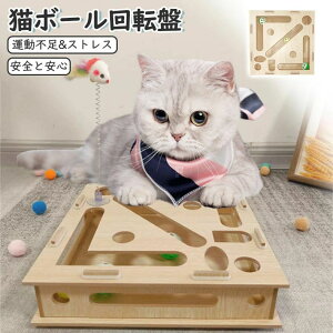 yz!X[p[SALEzL  {[ {[]  lV g[C {bNX^Cv i ˂ Lbg ߂Ƃ lp  {bNX ȒPȑgݗ ^s XgXU 