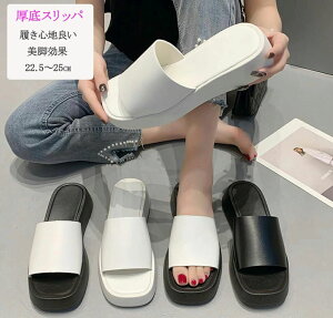 yz!X[p[SALEzr[`T_ fB[X ؂ T_  r ėp r[T r COZu  킢 s r[` v[ ][g W[ JWA 