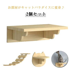 はしご ラダー キャットステップ 2個セット 猫用 階段 キャットウォーク キャットタワー 壁付け キャットウォーク 壁 キャットハウス ストレス解消 運動不足 DIY 壁掛けキャットタワー 猫棚