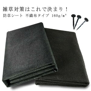 �y3910������3715�~ P5!�労�ӍՁz160g/m�E 60cm×500cm �����V�[�g ���� �Ռ��� �󂫒n �G���h�~�V�[�g ������s�v �_�Ɨp �G���΍� �h���V�[�g �K�[�f�j���O ���|�p ���悯 ������ ���ԏ� �� �� �h