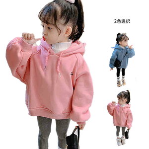 yz!X[p[SALEzg[i[ LbY@H~ t[htg[i[  t[ht ̎q j̎q gbvX t[htWPbg AE^[ n Vv JWA  ł