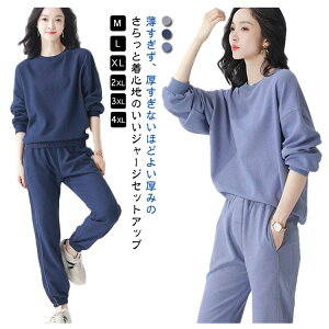 yz!X[p[SALEzW[W ̎q t  H W[W  傫TCY ㉺Zbg X|[cEFA   [EFA  p[J[  Xgb` _CGbg g