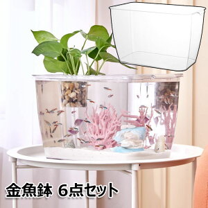 6点セット 金魚鉢 プラスチック 水槽 金魚 メダカ水槽 メダカ鉢 屋外 観葉植物 インテリア 亀 爬虫類 メダカ 容器 テーブル ボウル 水培 メダカ飼育容器 大型 植物栽培 おしゃれ メダカ飼育鉢