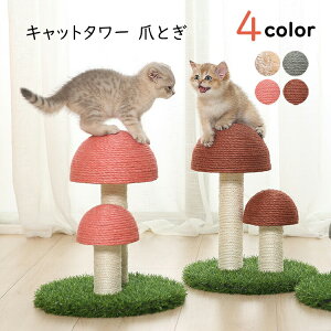 yP5{I3686~3502~ 11/15 23:59܂ŁzLbg^[ ܂Ƃ ܂Ƃ|[ LmR^Cv L  Vn XgXU ^s΍ Lpi lGKp ˂  ybgp 