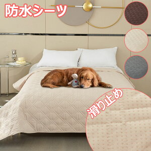 yX߁zhV[c xbhJo[ xbhXvbh Rh~ }bgXJo[ }`Jo[ n h ʋC z 􂦂 \t@[Jo[ ݑϐ  L h_j ho 