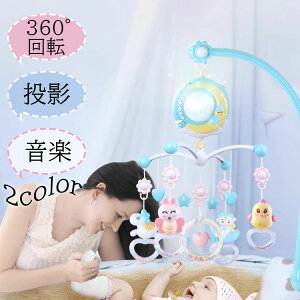 yX߁z IS[ xr[ Ԃ 1 q V  mߋ oYj a v[g Mtg j̎q ̎q 蕨 360°] y e R