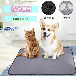 yP2{I3971~3892~ 11/27 01:59܂Łzybgp}bg ybgV[c 􂦂 }bg pbh ybgp}bg ybg }bg gCV[g h  R 