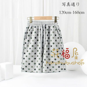 yz!X[p[SALEzY{  n[tpc O[ XEFbgpc Y{ ʊw ^ Ē LbY Y{ pc ܕ X|[cpc 킢 JWApc ؍q