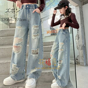 yz!X[p[SALEz؍q Y{ ̎q fj_[WW[Y {gX Y{ q w W[ fjOpc W[p W[Y t H ~ ʉ ʊw o