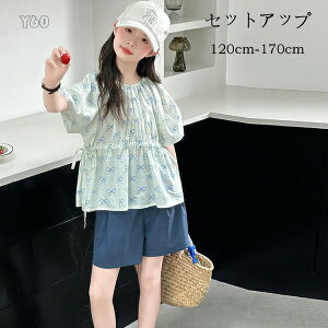 yX߁z؍q ̎q  ZbgAbv LbY ㉺Zbg Vc+V[gpc 2_Zbg K[Y  ĕ gbvX V[c v[g s ][g o 