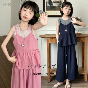 yz!X[p[SALEz؍q ̎q ZbgAbv LbY ĕ XgCvxXg{L~\[{Chpc LbY K[Y 킢 ZbgAbv sN lCr[ a v