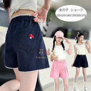 yX߁z؍q ̎q V[gpc  pc 킢 LmR V[c ĕ Ē ʊw o Y{ V[c v[g Beʐ^ p[eB[ Cxg a