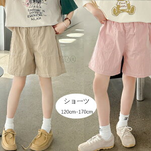 yP2{I2736~2681~ 11/11܂Łz؍q ̎q JWApc y[W sN Y{ {gX Y{  pc Ē o w qǂ ǂ ̎q 킢