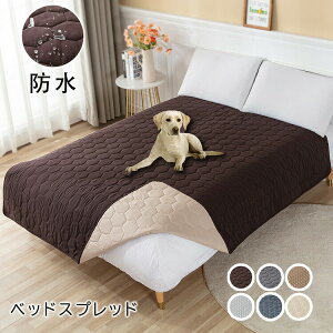 yX߁zxbhXvbh xbhJo[ V[c VO Lg }bgXJo[ }`Jo[ n h ʋC z ~ 􂦂 \t@[Jo[ hoJo[ h~  