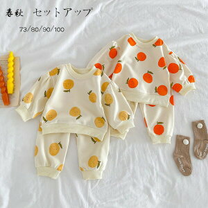 yz!X[p[SALEzxr[ tH ZbgAbv LbY ㉺Zbg ̎q j̎q  IW Zbg 73/80/90/100 ^ ʉ ʊw t H ؍ qǂ  XEFbg 