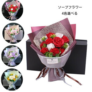 yP2{I2880~2822~ 11/11܂Łz\[vt[ o^Cf[ v[g  AWg {bNXt[  ޏ j a v[g ̓ LO o