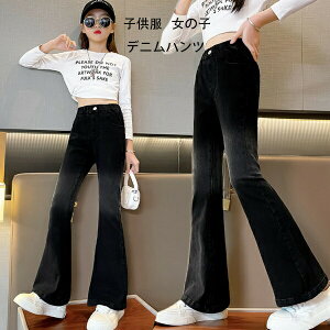 yz!X[p[SALEzq ̎q t fjtApc tH Vi fjpc  fjtApc Opc ʊw WjA K[Y {gX fjtApc