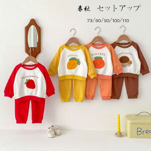 y3117~3055~ P2!zxr[ tH ZbgAbv LbY ㉺Zbg   LmR ~J ^ ʉ ʊw t H ؍ qǂ  XEFbg Y{ a