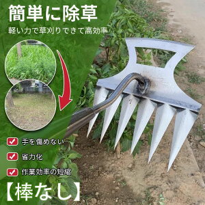 �y�X���������߁z������ ���[�L �X�e�����[�L �֗� ���ނ��� ��^ �ԑ��Ή� ���@�\ �X�`�[�� ��̌^ �y�_�Ȃ��z