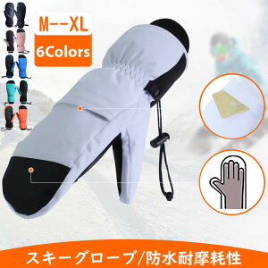 yP2{I2846~2789~ 11/11܂ŁzXL[O[u Xm[{[h O[u fB[X 5{w Ci[ Xm{  ~g h h h ۉ ʋC g Xm[{[hO[u ^b`