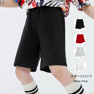 V[gpc LbY X|[cEFA X|[cpc Ē V[gpc ubN bh O[ zCg 100% V[gpc ^ ʉ ʊw LbY n V[c pc 