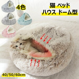 yX߁zybgxbh LpnEX h[^ Lk ybg}bg ӂӂ  ybgpi h΍ ~ 􂦂 ^ p qL  _炩 L nEX Vv ʔN