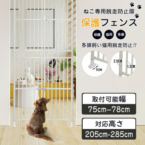 yP2{I16590~16258~ 11/11܂Łzybg hA P[W  ی lR Eh~   X`[ ybgP[W V tFX Eh~ Lp 