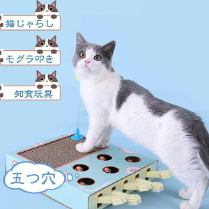 yX߁zL  L炵 O@ lY~ LV Lp܂Ƃ _{[ x ϋv ߂Ƃ }bg ^s mߋ ܂ lY~ L ߂Ƃ