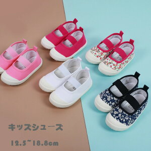 y2600~2548~ P2!zqC 㗚 ΂ q C V[Y oGV[Y LoXV[Y C  fUC qC ̎q j̎q ǂ  n@ԕ z