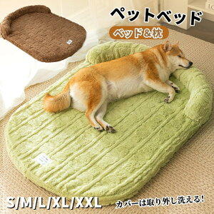 yP2{!11/11܂Łzybgxbh ybg NbV  L xbh t ybgpNbV Lp xbh }bg Q ybg\t@[ ԂƂ ~zc lGKp I[V[Y 